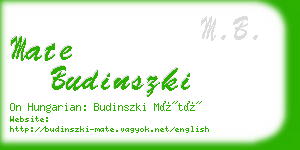 mate budinszki business card